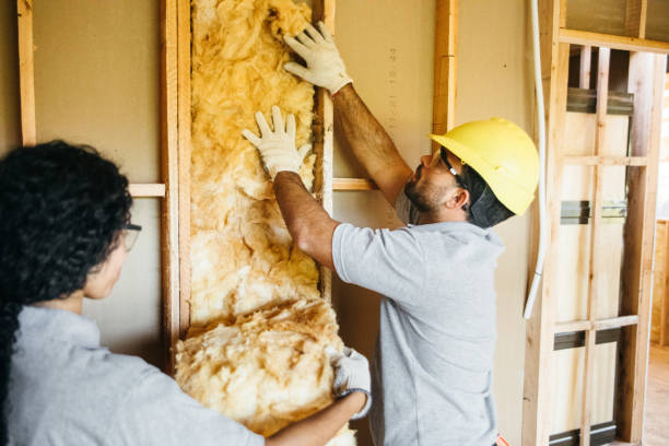 Best Insulation Replacement Services  in Hebron, NE